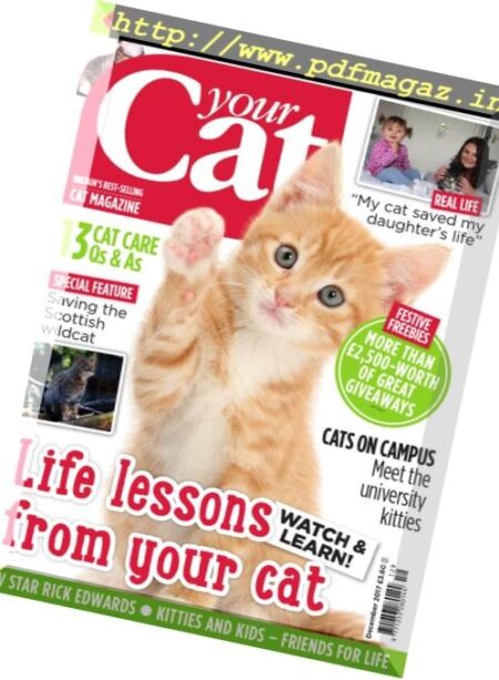 Your Cat – December 2017 Cover