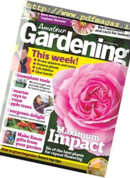 Amateur Gardening – 16 December 2017