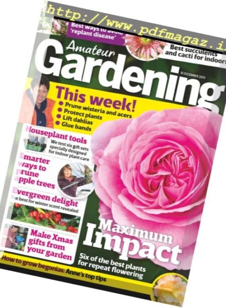 Amateur Gardening – 16 December 2017 Cover