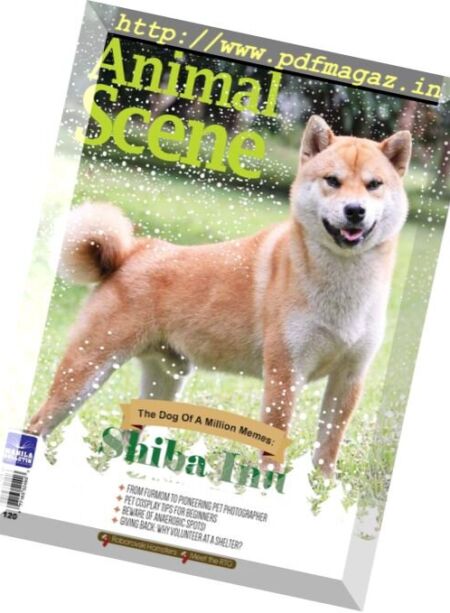 Animal Scene – December 2017 Cover