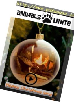 Animals Write – December 2017