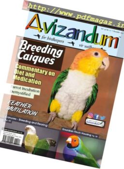 Avizandum – December 2017