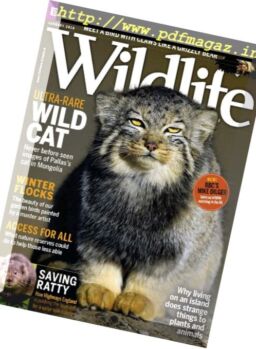 BBC Wildlife – January 2018