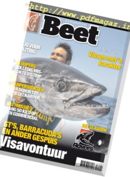 Beet – December 2017