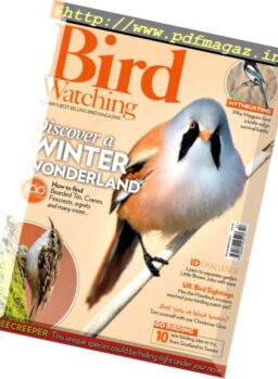 Bird Watching UK – December 2017
