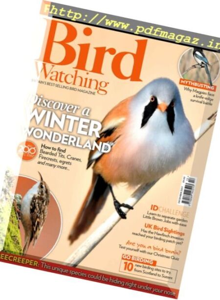 Bird Watching UK – December 2017 Cover