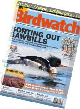 Birdwatch UK – December 2017
