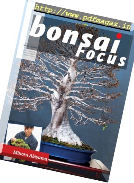 Bonsai Focus – enero-febrero 2018 (Spanish Edition) Cover