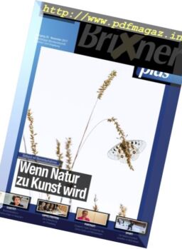 Brixner Plus – November 2017