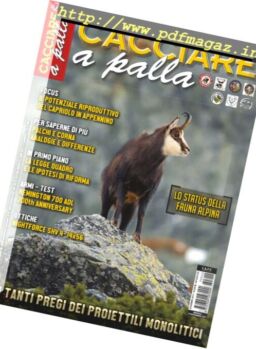 Cacciare a Palla – Dicembre 2017