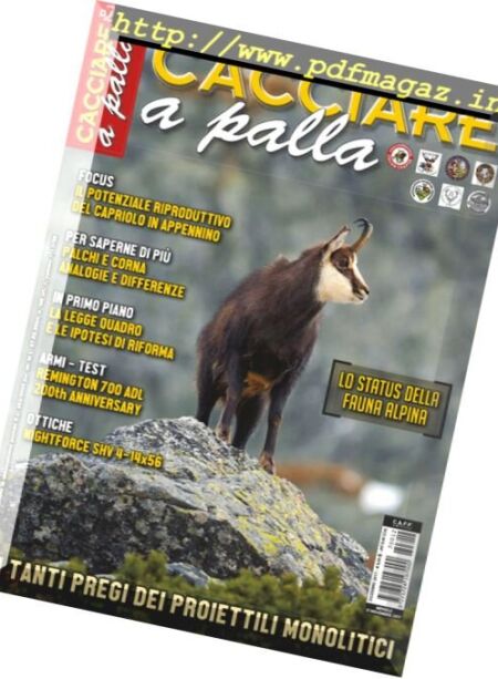 Cacciare a Palla – Dicembre 2017 Cover