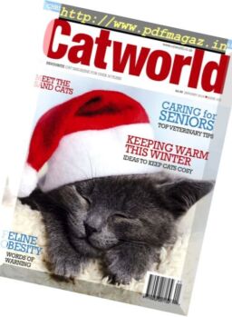 Cat World – anuary 2018