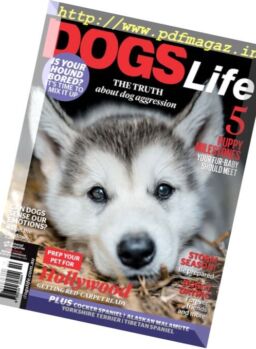 Dogs Life – 8 January 2018