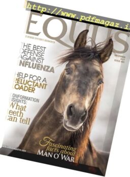Equus – December 2017