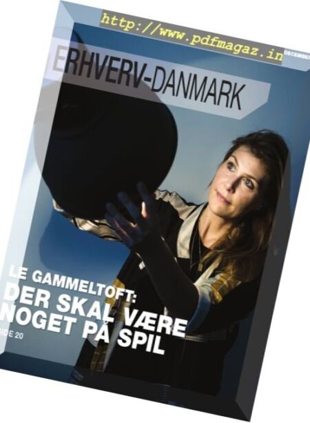 Erhverv-Danmark – november 2017 Cover