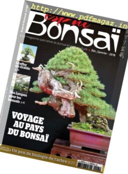 Esprit Bonsai – decembre 2017