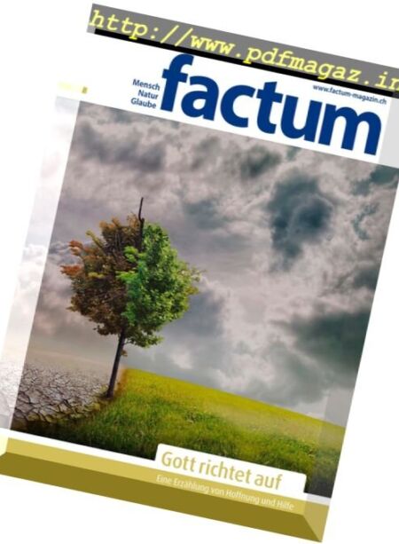 Factum Magazin – Nr.9 2017 Cover