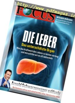 Focus – 18 November 2017
