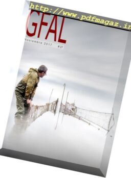Gfal – Noviembre 2017