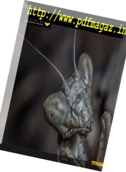 Monopix – August 2017