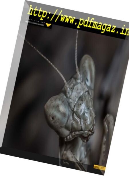 Monopix – August 2017 Cover