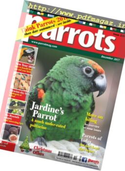 Parrots – December 2017