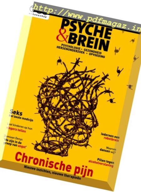 Psyche & Brein – November 2017 Cover