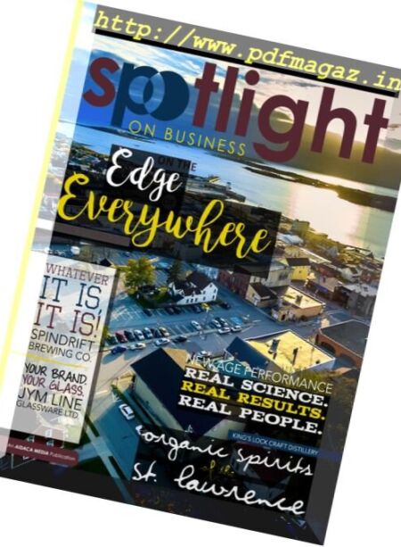 Spotlight on Business – December 2017 Cover