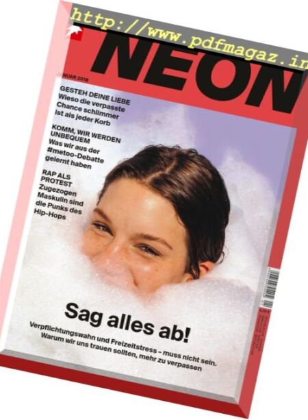 Stern Neon – Januar 2018 Cover