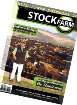 Stockfarm – December 2017