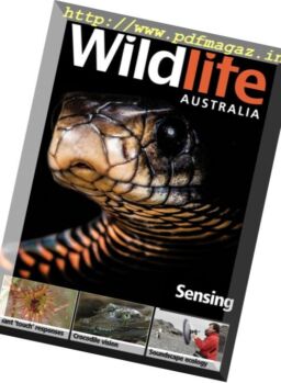 Wildlife Australia – Summer 2017