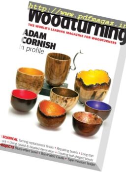 Woodturning – Winter 2017