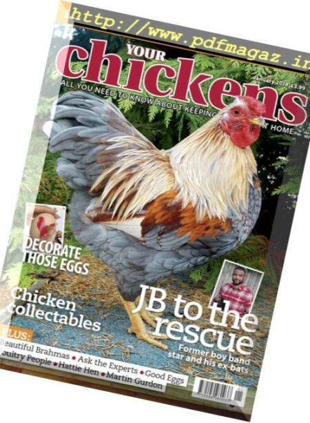 Your Chickens – January 2018 Cover