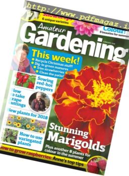 Amateur Gardening – 6 January 2018