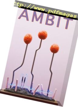 Ambit Magazine – December 2017