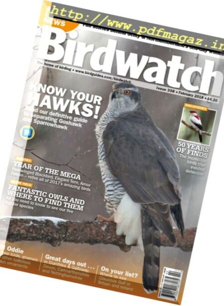 Birdwatch UK – February 2018 Cover