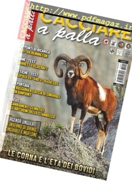 Cacciare a Palla – Gennaio 2018 Cover