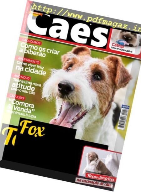 Caes & Companhia – Janeiro 2018 Cover