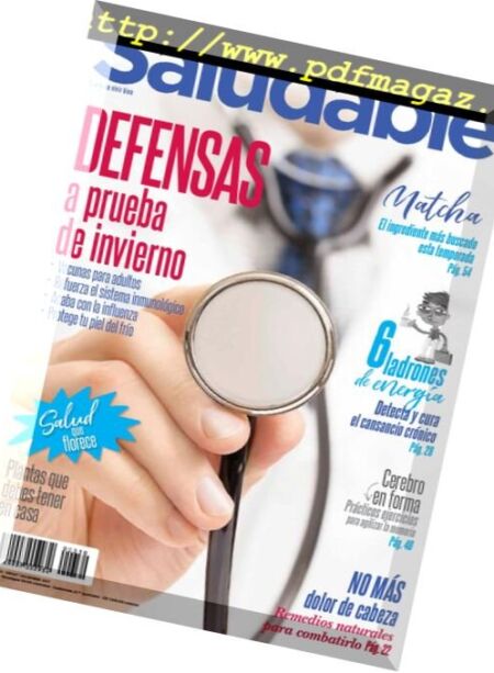 Familia Saludable – diciembre 2017 Cover