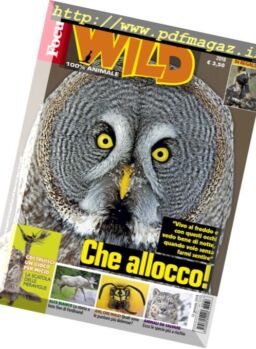 Focus Wild – Febbraio 2018
