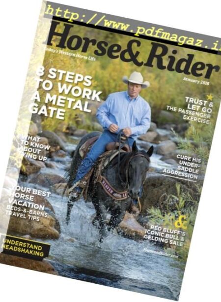 Horse & Rider USA – January 2018 Cover