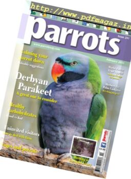 Parrots – February 2018