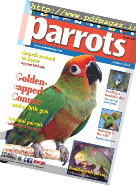 Parrots – January 2018 Cover