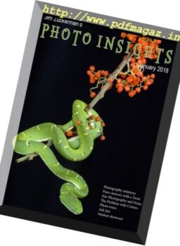 Photo insights – January 2018