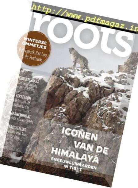 Roots – December 2017 Cover