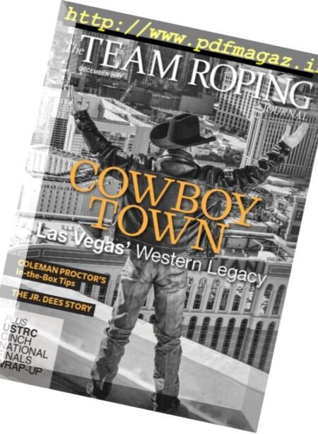 Spin to Win Rodeo – November 2017 Cover