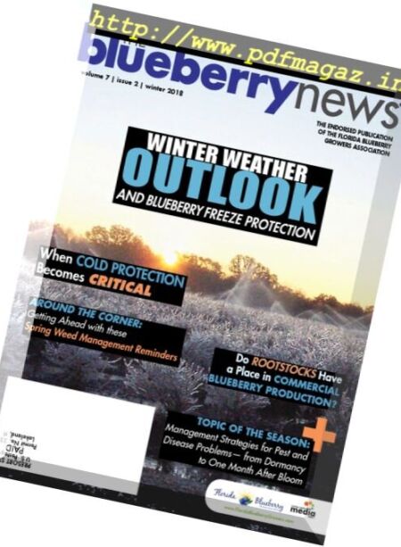 The Blueberry News – January 2018 Cover