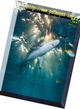 Underwater Photography – January-February 2018