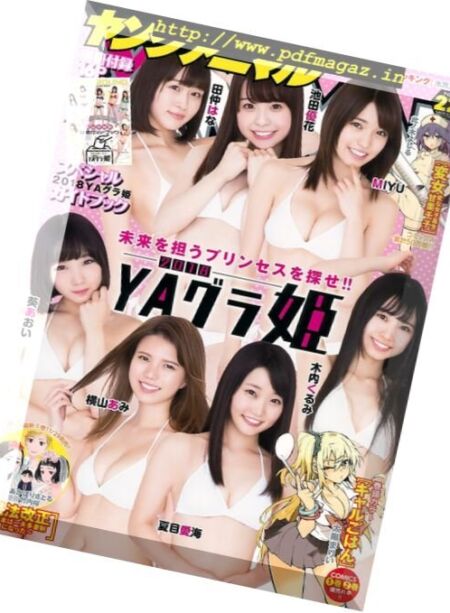 Young Animal – 24 November 2017 Cover