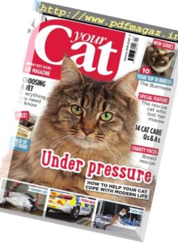 Your Cat – January 2018